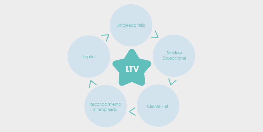 gráfico circular con flechas con movimiento continuo fases de itv