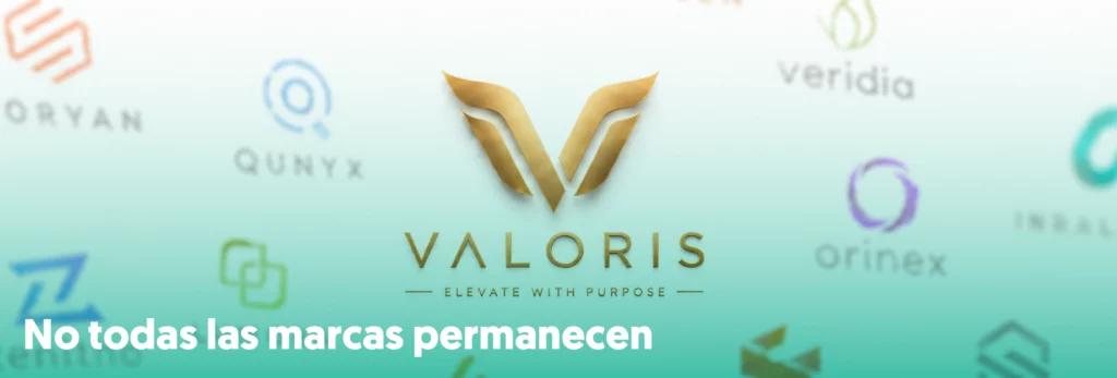 banner no todas las marcas permanecen marcas desenfocadas y una clara