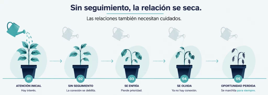 la planta olvidada las relaciones necesitan cuidados